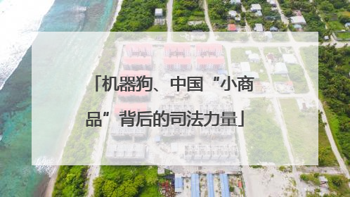 机器狗、中国“小商品”背后的司法力量