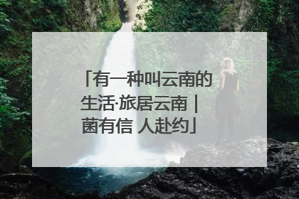 有一种叫云南的生活·旅居云南｜菌有信 人赴约