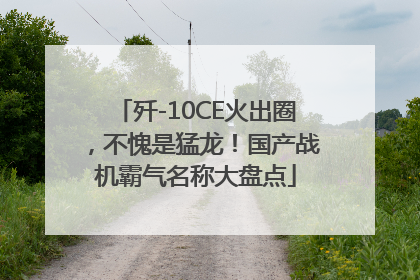 歼-10CE火出圈，不愧是猛龙！国产战机霸气名称大盘点