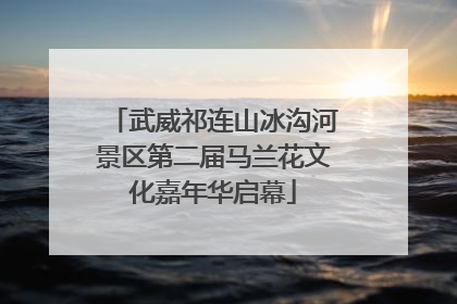 武威祁连山冰沟河景区第二届马兰花文化嘉年华启幕