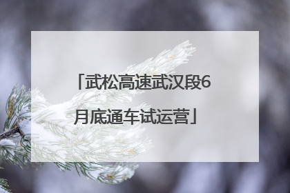武松高速武汉段6月底通车试运营