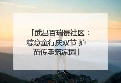 武昌百瑞景社区：粽意童行庆双节 护苗传承筑家园
