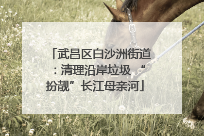 武昌区白沙洲街道：清理沿岸垃圾 “扮靓”长江母亲河