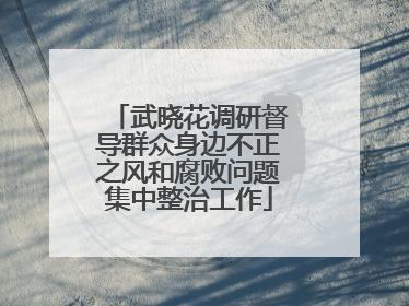 武晓花调研督导群众身边不正之风和腐败问题集中整治工作