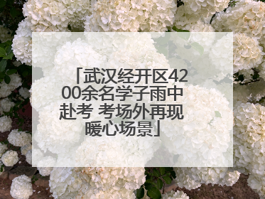 武汉经开区4200余名学子雨中赴考 考场外再现暖心场景