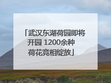 武汉东湖荷园即将开园 1200余种荷花竞相绽放