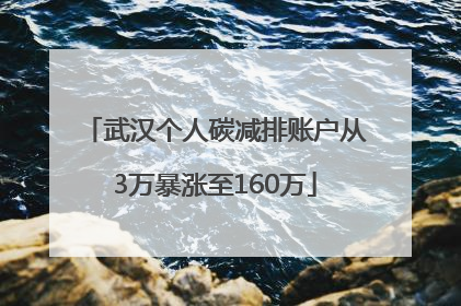 武汉个人碳减排账户从3万暴涨至160万