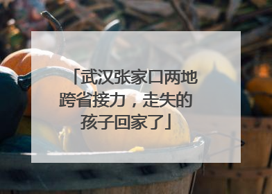 武汉张家口两地跨省接力，走失的孩子回家了
