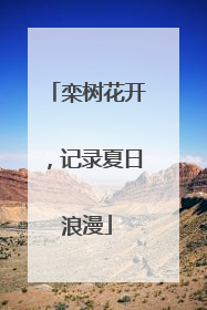 栾树花开，记录夏日浪漫