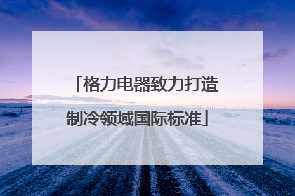格力电器致力打造制冷领域国际标准