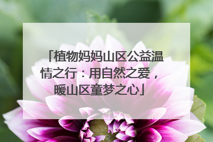 植物妈妈山区公益温情之行：用自然之爱，暖山区童梦之心