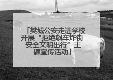 樊城公安走进学校开展“拒绝飙车炸街 安全文明出行”主题宣传活动
