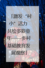 激发“村小”活力 共绘多彩童年——乡村基础教育发展观察