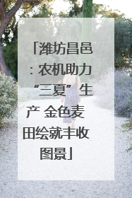 潍坊昌邑：农机助力“三夏”生产 金色麦田绘就丰收图景