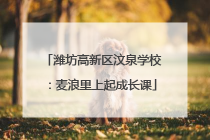 潍坊高新区汶泉学校：麦浪里上起成长课