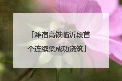 潍宿高铁临沂段首个连续梁成功浇筑