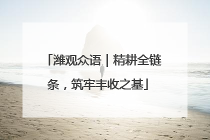 潍观众语｜精耕全链条，筑牢丰收之基