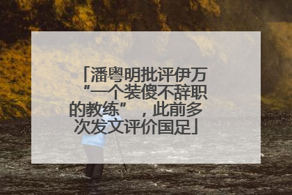 潘粤明批评伊万“一个装傻不辞职的教练”，此前多次发文评价国足