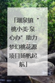 潮泉镇“桃小美·泉心办”助力梦幻桃花源项目扬帆起航