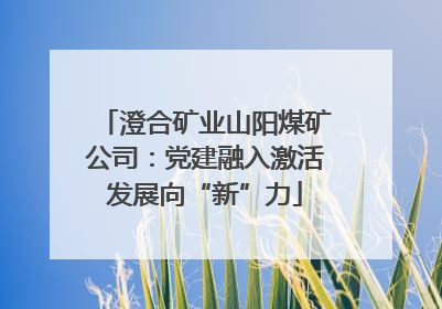 澄合矿业山阳煤矿公司：党建融入激活发展向“新”力