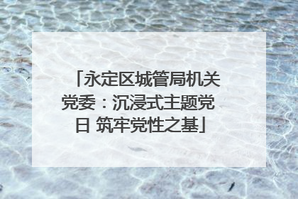 永定区城管局机关党委：沉浸式主题党日 筑牢党性之基
