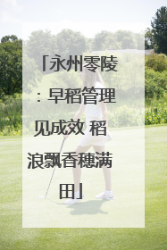 永州零陵：早稻管理见成效 稻浪飘香穗满田