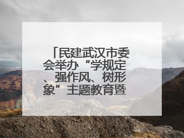 民建武汉市委会举办“学规定、强作风、树形象”主题教育暨参政议政能力素质提升培训班