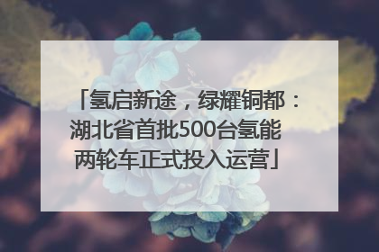 氢启新途，绿耀铜都：湖北省首批500台氢能两轮车正式投入运营