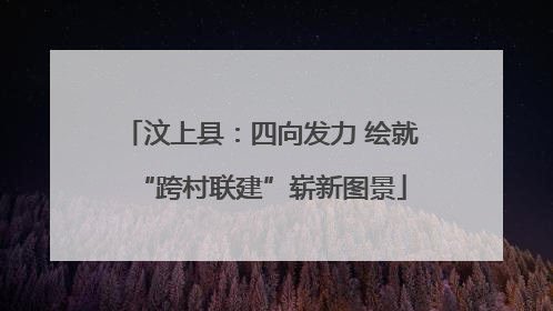 汶上县：四向发力 绘就“跨村联建”崭新图景
