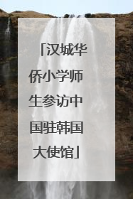汉城华侨小学师生参访中国驻韩国大使馆