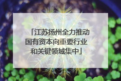 江苏扬州全力推动国有资本向重要行业和关键领域集中