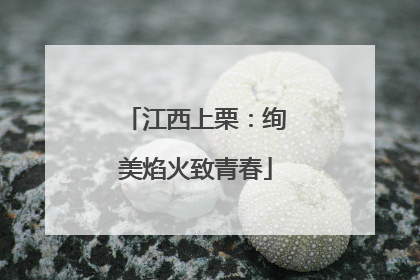 江西上栗：绚美焰火致青春