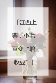 江西上栗：小毛豆变“增收豆”