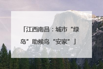 江西南昌：城市“绿岛”助候鸟“安家”