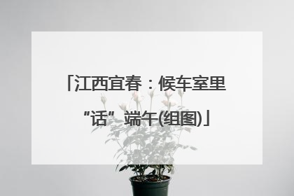 江西宜春：候车室里“话”端午(组图)