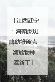 江西武宁：海南虎斑鳽幼雏破壳 濒危物种添新丁