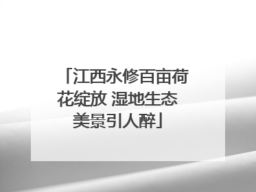 江西永修百亩荷花绽放 湿地生态美景引人醉