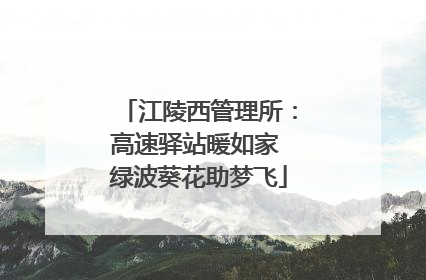 江陵西管理所：高速驿站暖如家 绿波葵花助梦飞