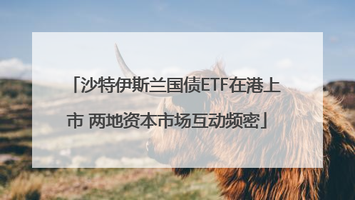 沙特伊斯兰国债ETF在港上市 两地资本市场互动频密