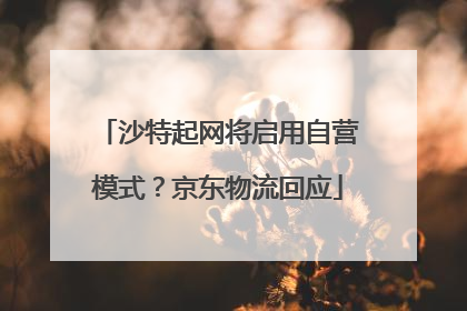 沙特起网将启用自营模式？京东物流回应