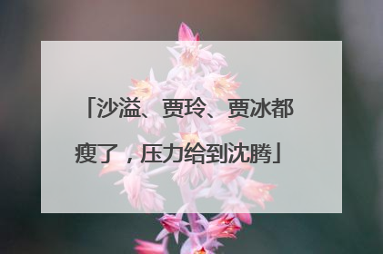 沙溢、贾玲、贾冰都瘦了，压力给到沈腾