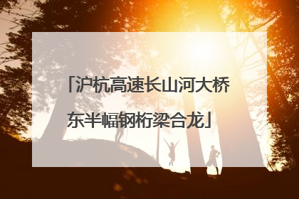 沪杭高速长山河大桥东半幅钢桁梁合龙
