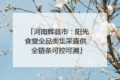河南辉县市：阳光食堂全品类集采直供 全链条可控可溯