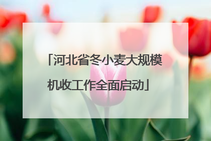 河北省冬小麦大规模机收工作全面启动