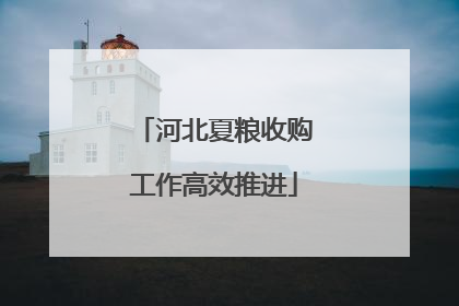 河北夏粮收购工作高效推进
