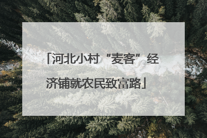 河北小村“麦客”经济铺就农民致富路