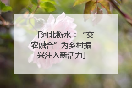 河北衡水：“交农融合”为乡村振兴注入新活力
