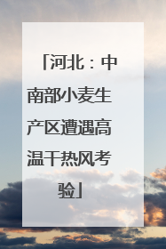 河北：中南部小麦生产区遭遇高温干热风考验