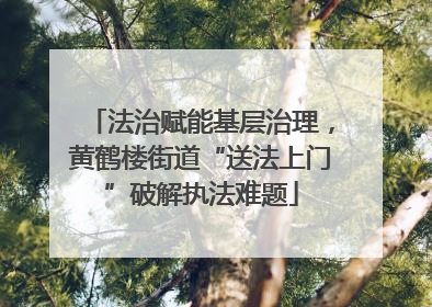 法治赋能基层治理，黄鹤楼街道“送法上门”破解执法难题