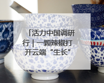 活力中国调研行｜一颗辣椒打开云端“生长”新通道